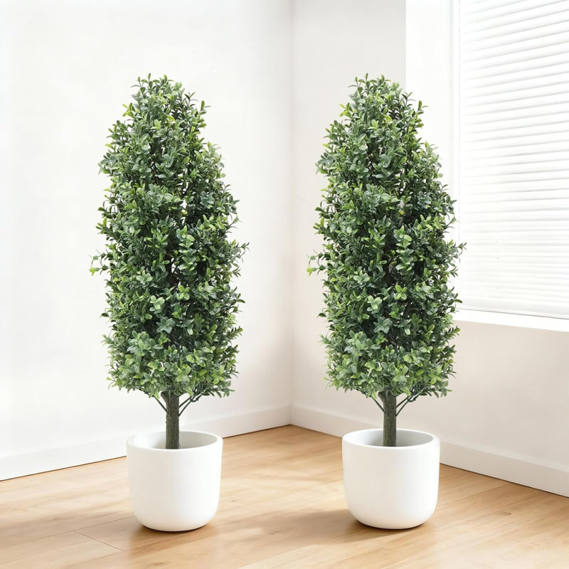 Plant, 90cm H x 24cm W x 24cm D