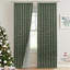 Fabdivine Light Green and Brown Handmade Floral Curtain Bohemian Soft Linen, 27x24 Inches, Block Print, Two-Side Panels with Pleated Pinch Design for Room Darkening, Blackout Patio, Himachal-301614836