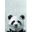 «Bonjour Panda», reproduction sur toile tendue-27175429
