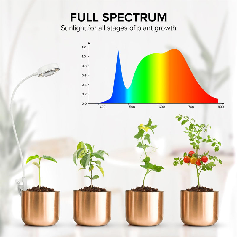 Naomi Grow Light