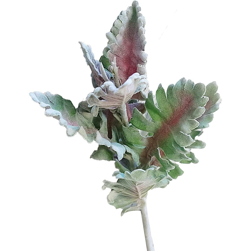 Chrysanthemum Leaf Arrangement