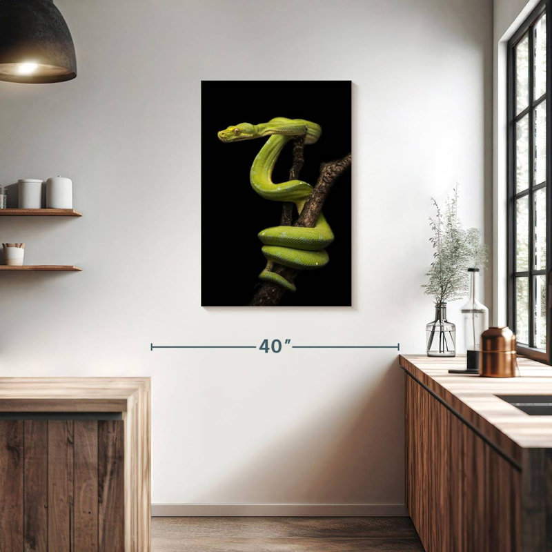 Brampt Python Wrapped Around A Branch, 36" H x 24" W