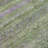 Machine Washable Indoor/Outdoor Xhevrie Olive Rug-112171050