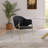 Izaiya Dining Chair-78550204