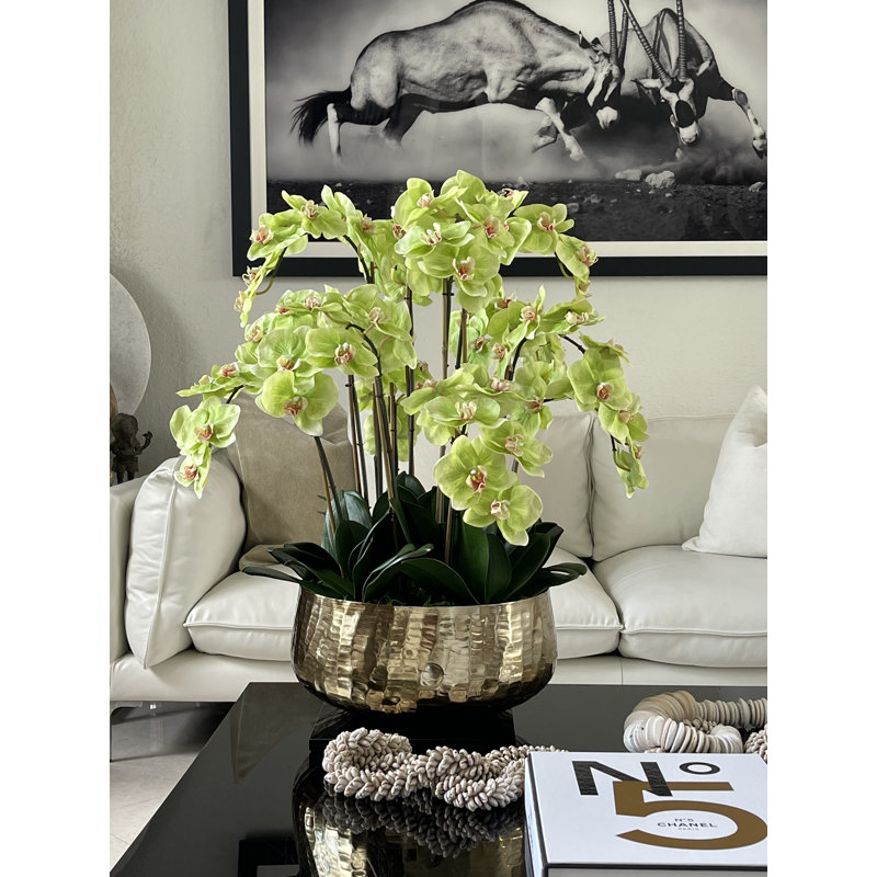 Pot à tiges d'orchidée Roberi, H 30 po x l 22 po x P 22 po, Vert