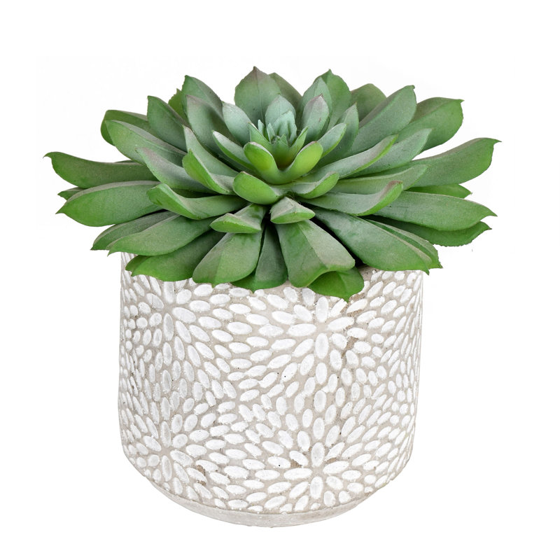 6'' Faux Succulent in Cement Pot