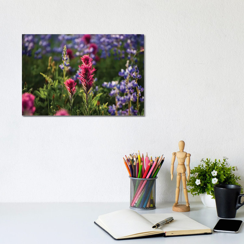 Close-Up Of Wildflowers, Mount Rainier National Park, Washington State, USA VI - Wrapped Canvas Print