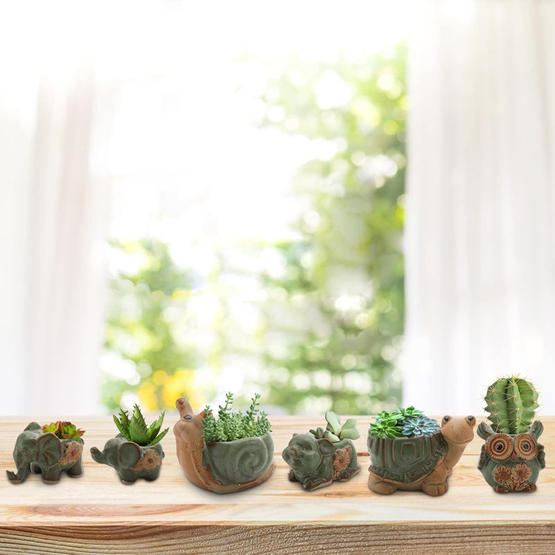 Mini jardinière en céramique 6 pièces avec trous de drainage pour animaux 6 pièces