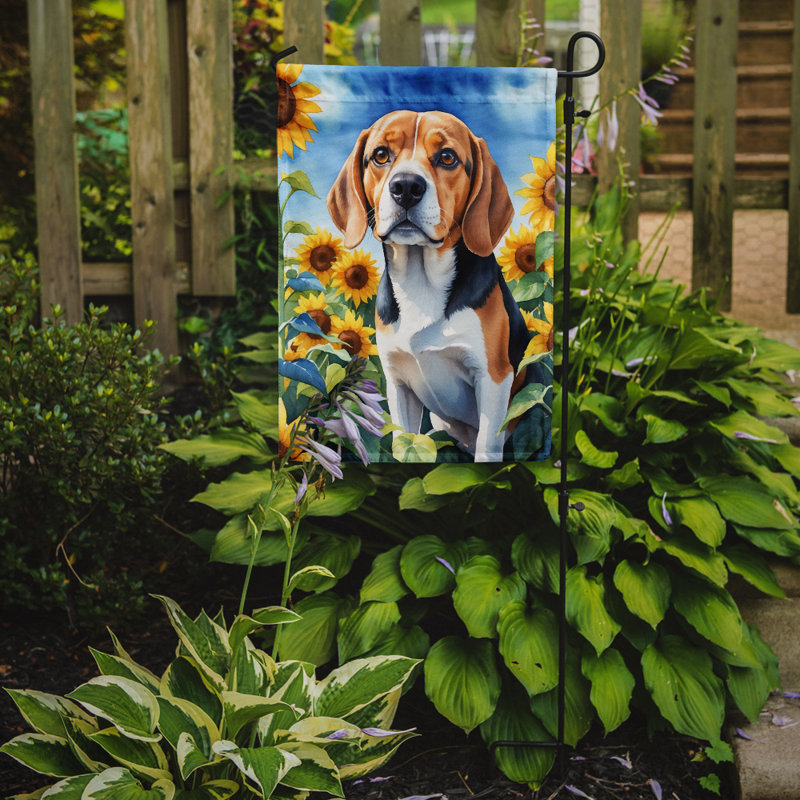 Lévrier irlandais dans le drapeau du jardin de tournesols, Beagle