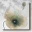 Coquelicot irisé II sur toile-185991308