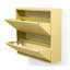 Billy 12 Pair Shoe Storage Cabinet