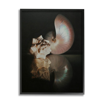 Reproduction d'art giclée de coquillages foncés par Cecile Baird