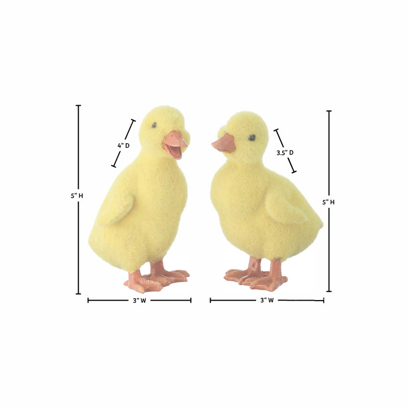 Canard 5 po