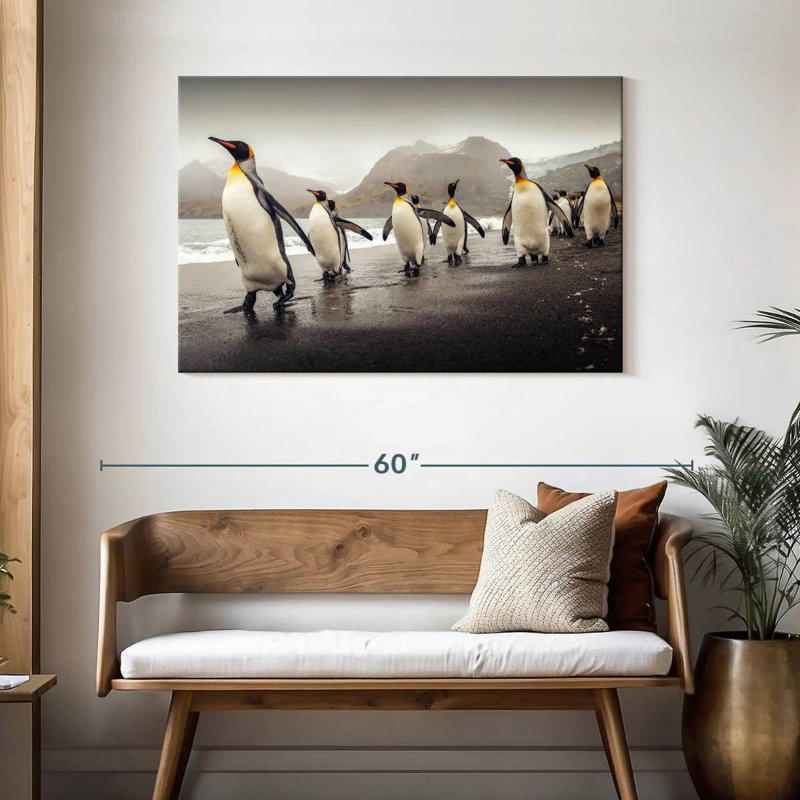 Pingouins bruns le long de la plage, H 30 po x l 45 po