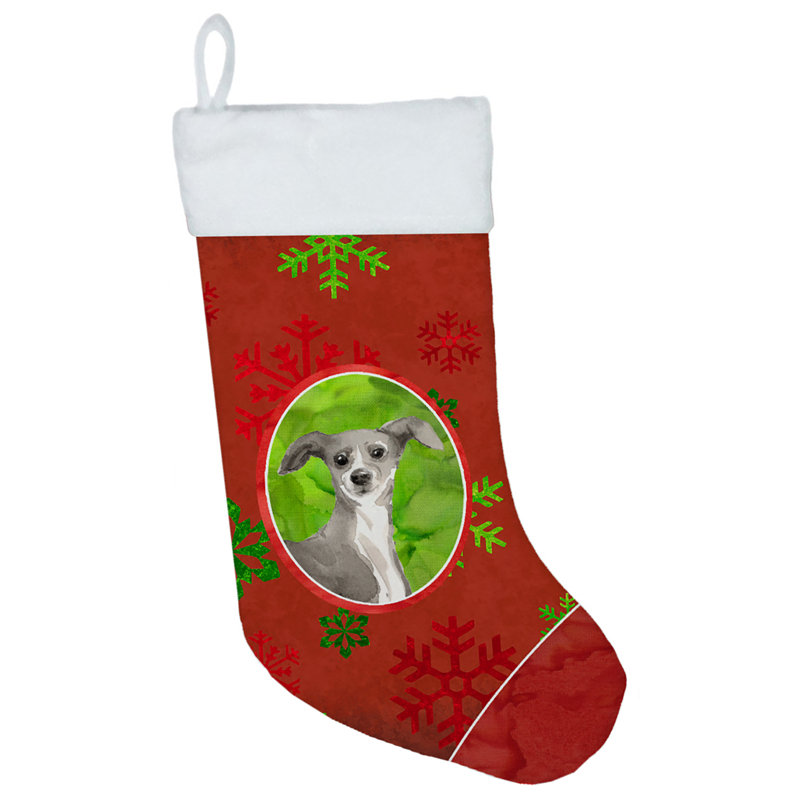 Chaussette de Noël, Lévrier italien