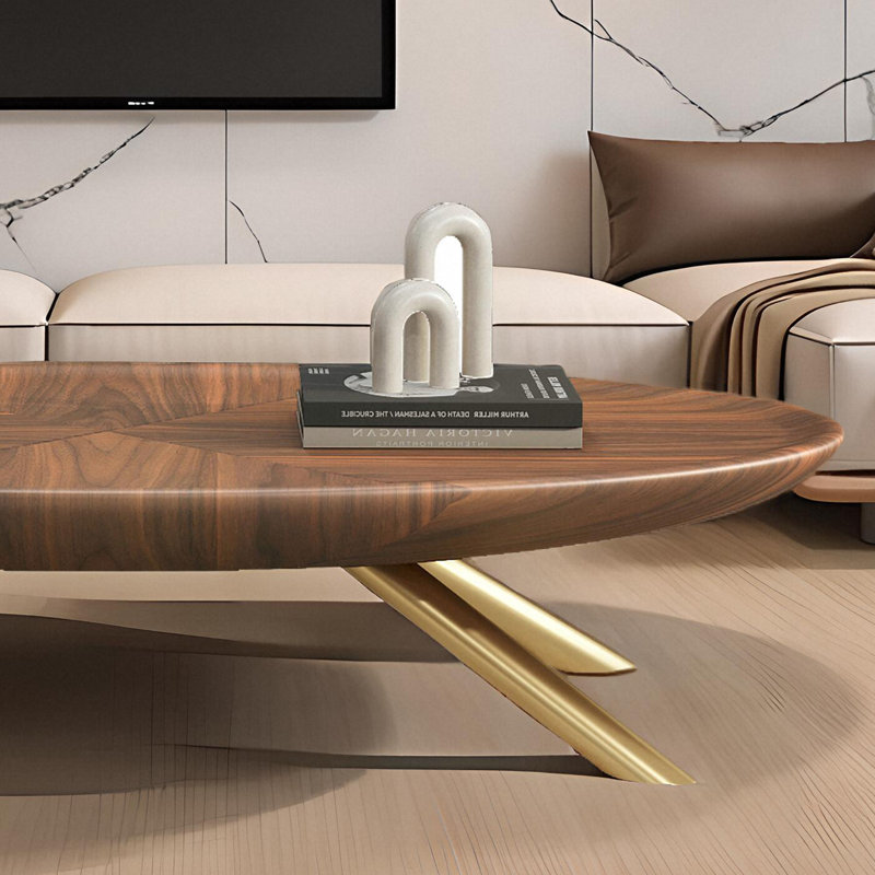 Coffee Table with Storage