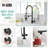 Fapully Pull Down Kitchen Faucet