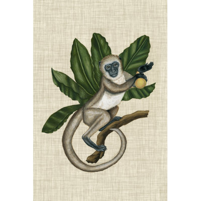 Auvent singe III