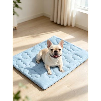 Dual-Sided Pet Cooling Mat Blue M