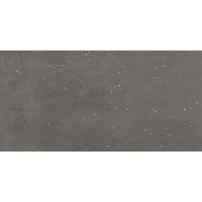 Exposition Daltile Carrelage de sol en porcelaine 12 x 24 (9 pièces par carton) (17,02 pi² par carton)