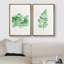 Minimal, botanique, vert, aquarelle, peinture pastel, plantes de la forêt, nature sauvage, illustrations, art, rustique, minimal-101185802-101185803