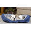Lit-coussin pour chien canapé-4769015-6646492
