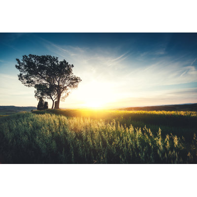 Sunset in Val D'Orcia by Borchee