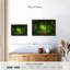 Impression sur toile Fairyland Forest-102354543
