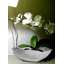 Bol décoratif Noor