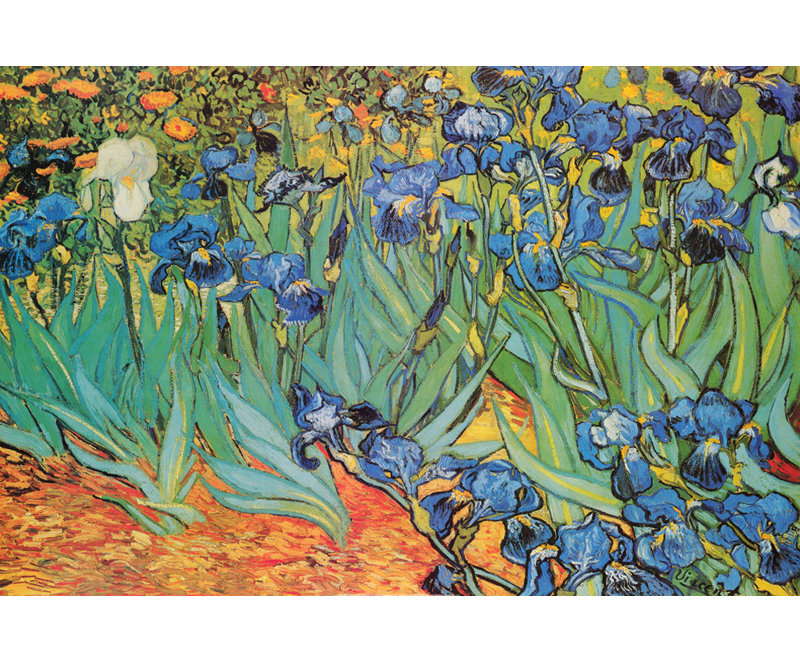 Irises, Saint-Remy, 32" H x 48" W