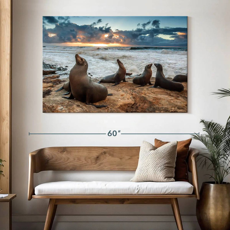 Brampt Sea Lions In La Jolla