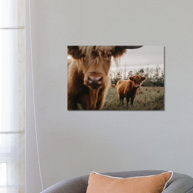 The Highland Cows by Chelsea Victoria - Wrapped Canvas Gallery-Wrapped Canvas Giclée, 66.04 cm H x 45.72 cm W x 1.91 cm D