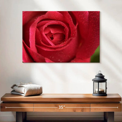 Rose rouge Harnek