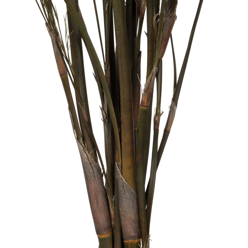40'' Grass
