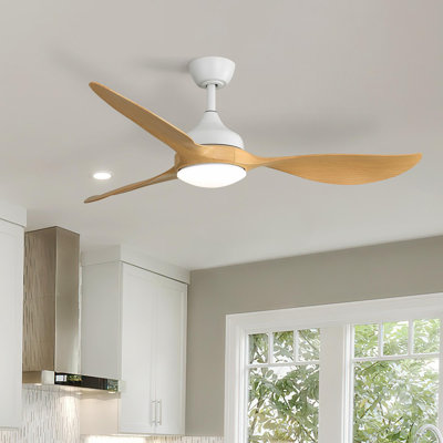 Ventilateur de plafond moderne 56 pouces à DEL à intensité variable et moteur à courant continu silencieux et réversible pour l'intérieur et l'extérieur