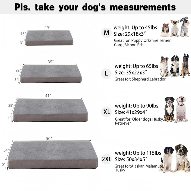 Lit orthopédique pour chien avec mousse à mémoire de forme, Gris, Grand (H 3 po x l 35 po x P 22 po)