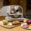 Electric Meat Slicer