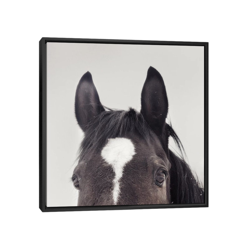« all earss », reproduction de photo sur toile tendue, H 18 po x l 18 po x P 1,5 po, Toile avec cadre noir, Pas de tapis
