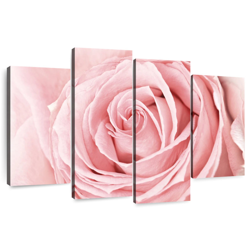 Rose fraîche Harnek, H 42 po x l 68 po