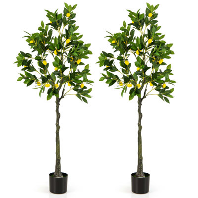 Faux citronnier 63 po en pot