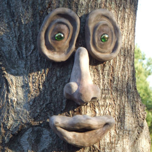 Visage d'arbre Oakley