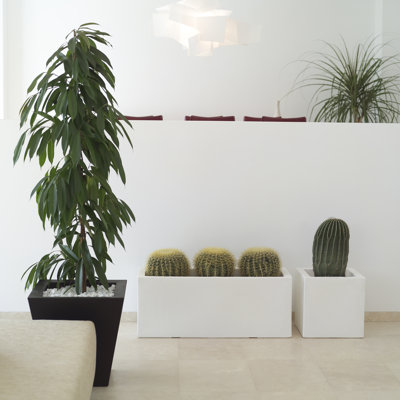 Jardiniere Resin Planter Box