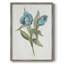 «Blue Tulip Picks I», reproduction encadrée - bois massif 47862-1639687709