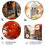 Tussilage - Ensemble de décorations murales en métal Boston
