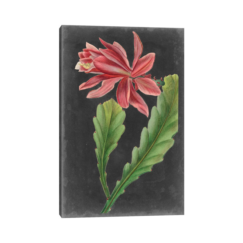 Dramatic Tropicals I by Vision Studio - Wrapped Canvas Gallery-Wrapped Canvas Giclée, 30.48cm H x 20.32cm W