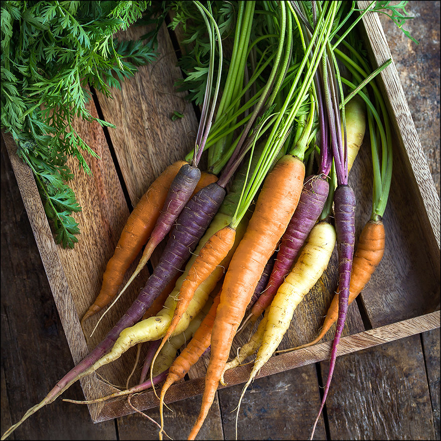 Carrots – Druck ohne Rahmen auf Floatglas