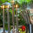 Unscented Taper Candle-96319598