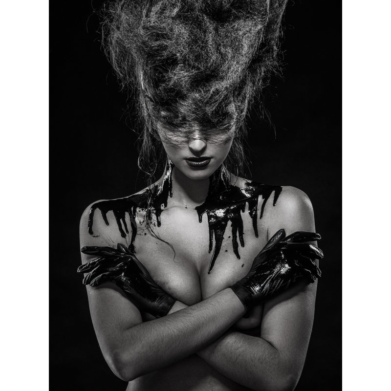 Wrapped Canvas Print, 76.2 cm H x 50.8 cm W
