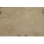 Tapis traditionnel à médaillon floral 5 x 8