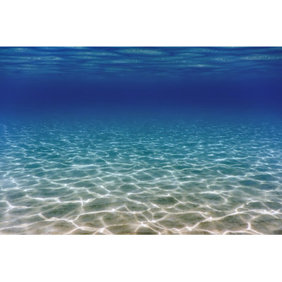 Underwater Background - Wrapped Canvas Print